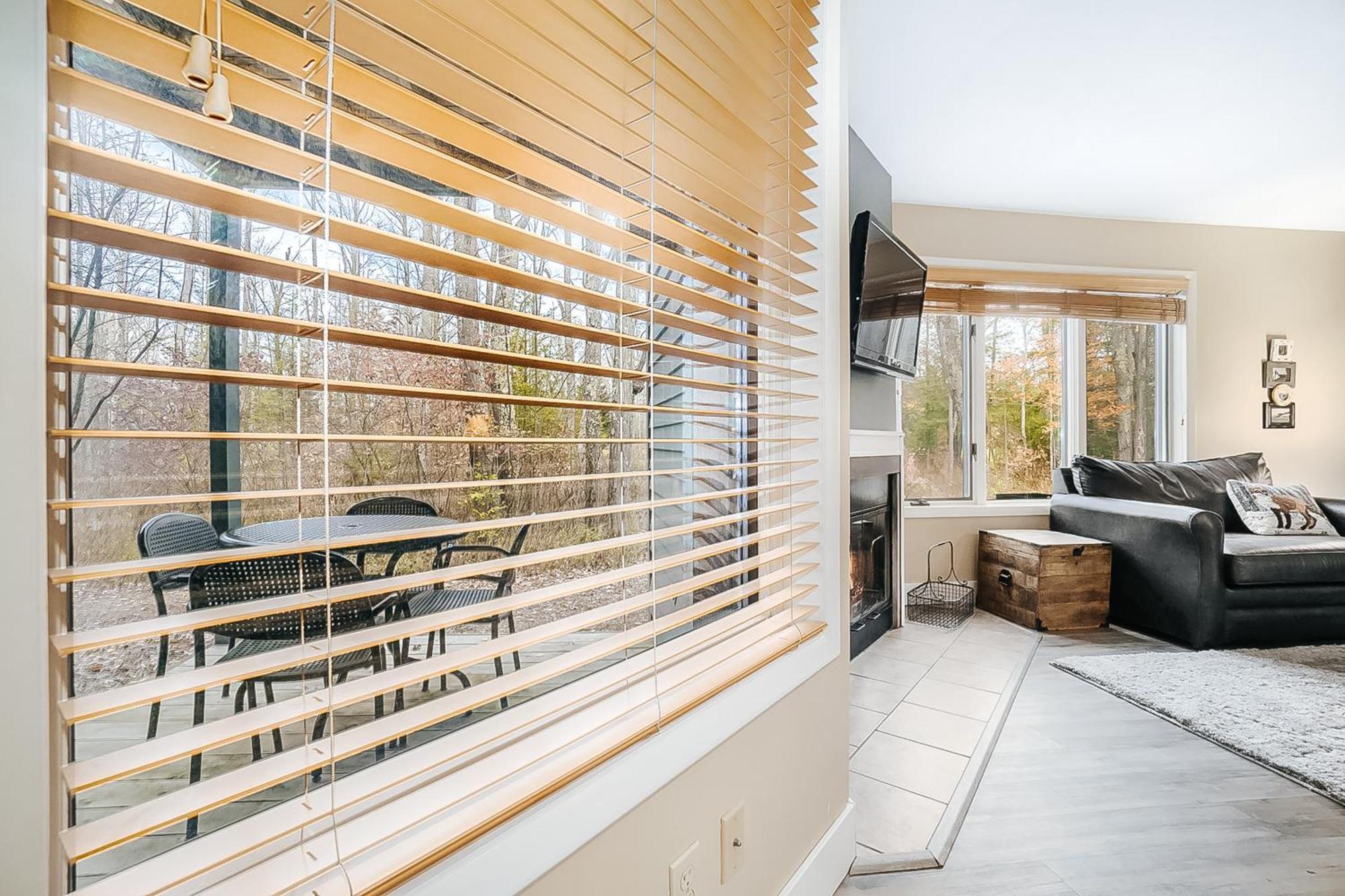 Wintergreen Condos Thompsonville Room photo